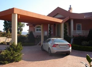 Βίλλα προς πώληση Πολυδένδρι 635 τ.μ. 1 Υπνοδωμάτιο Νεόδμητο