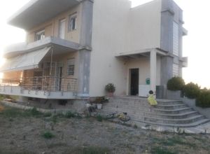 Μονοκατοικία για ενοικίαση Κριθιά (Άσσηρος) 110 τ.μ. 3 Υπνοδωμάτια