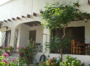 Μονοκατοικία προς πώληση Λέσβος - Ερεσός / Άντισσα 80 τ.μ. 2 Υπνοδωμάτια