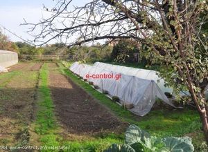 Μονοκατοικία προς πώληση Τέμενη (Αίγιο) 73 τ.μ. 2 Υπνοδωμάτια