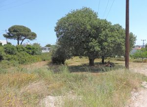 Οικόπεδο προς πώληση Χώρα (Ρόδος) 1.393 τ.μ.