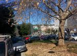 Photo 79248005