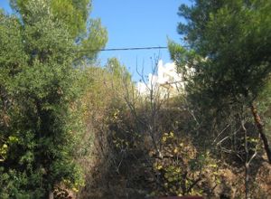 Land Plot, Kifisia