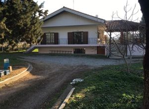 Μονοκατοικία προς πώληση Πυλαία 136 τ.μ. 3 Υπνοδωμάτια