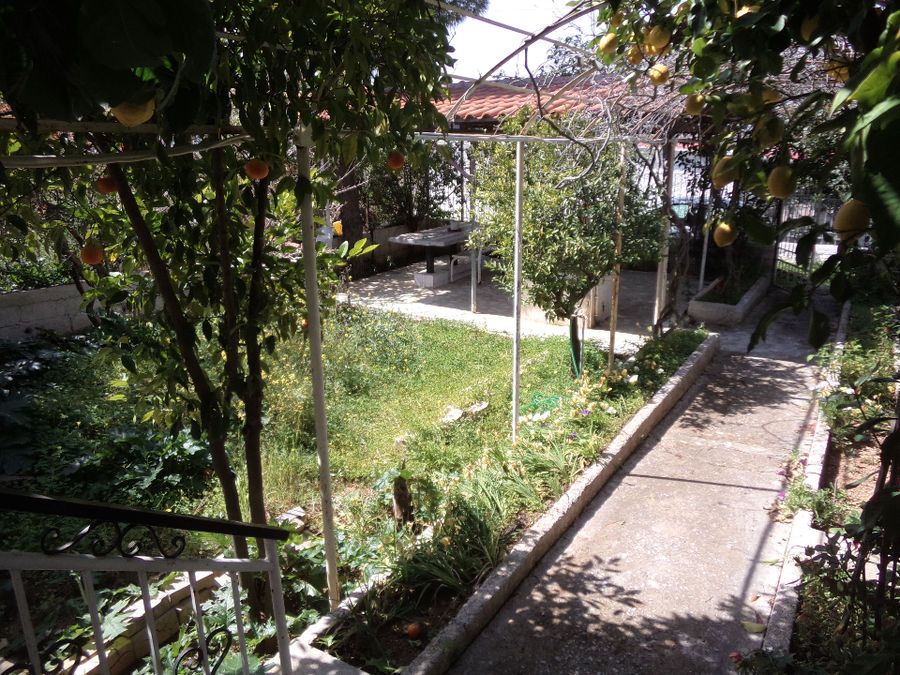 Photo 81612647