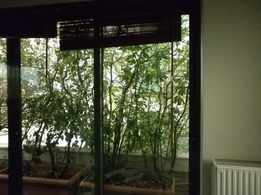 Photo 82215014
