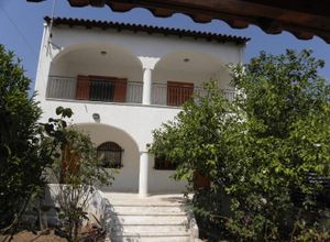 Μονοκατοικία προς πώληση Μεταμόρφωση (Ορμύλια) 180 τ.μ. 4 Υπνοδωμάτια