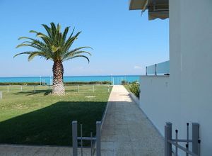 Μεζονέτα, Χανιώτης