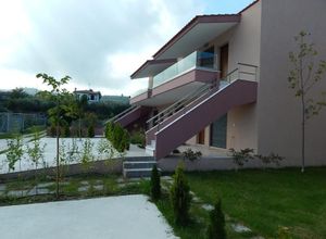 Apartment, Polichrono