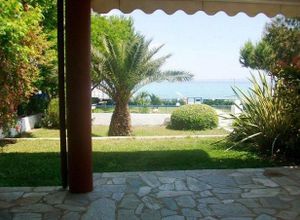 Maisonette, Chaniotis