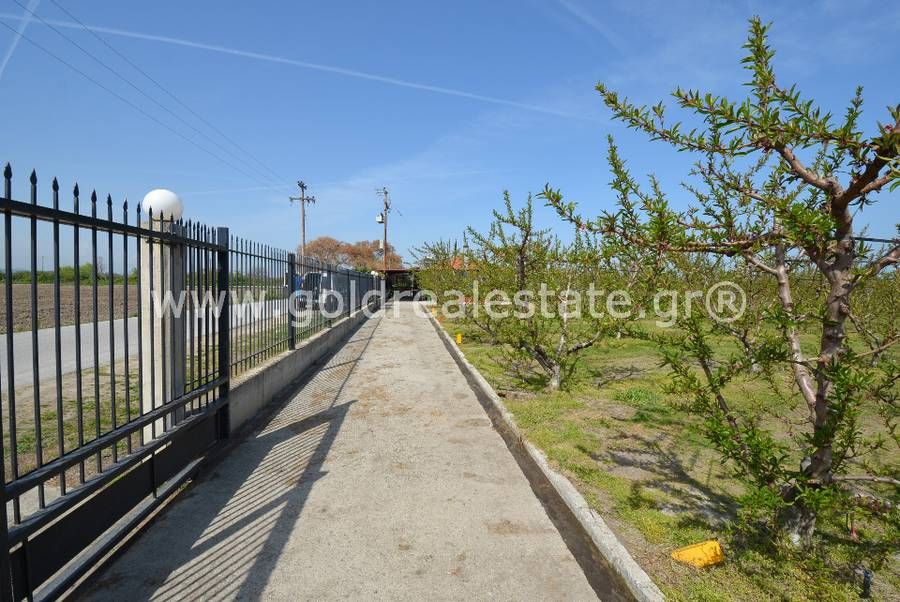 ΑΚΙΝΗΤΑ ΠΙΕΡΙΑΣ ΚΑΤΕΡΙΝΗΣ GREECE REAL ESTATE GREEK HOME