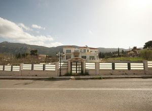 Μονοκατοικία προς πώληση Κ. Μαλακάσας 450 τ.μ. 4 Υπνοδωμάτια