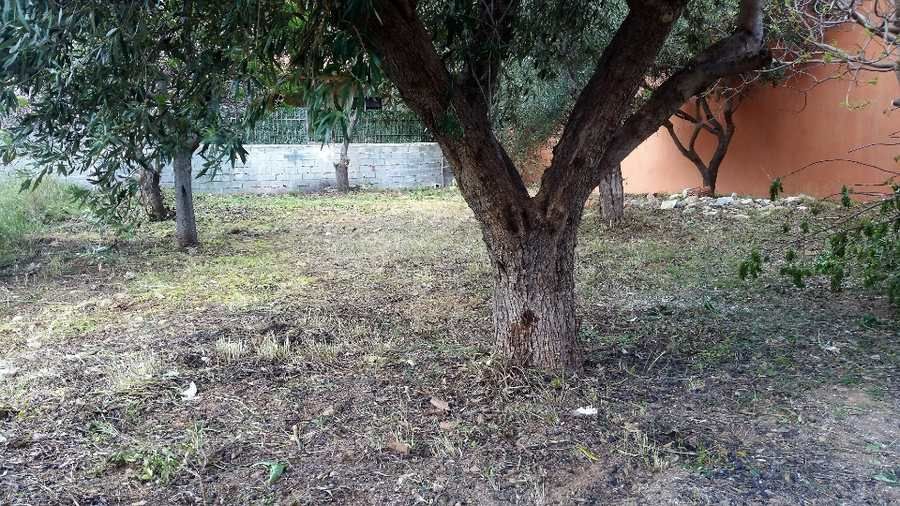 Plot Miladeza