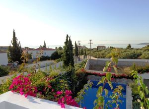 Μονοκατοικία προς πώληση Σπέτσες 330 τ.μ. 3 Υπνοδωμάτια