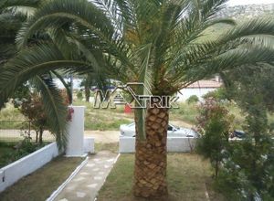 Μεζονέτα προς πώληση Κουφός (Τορώνη) 90 τ.μ. 2 Υπνοδωμάτια
