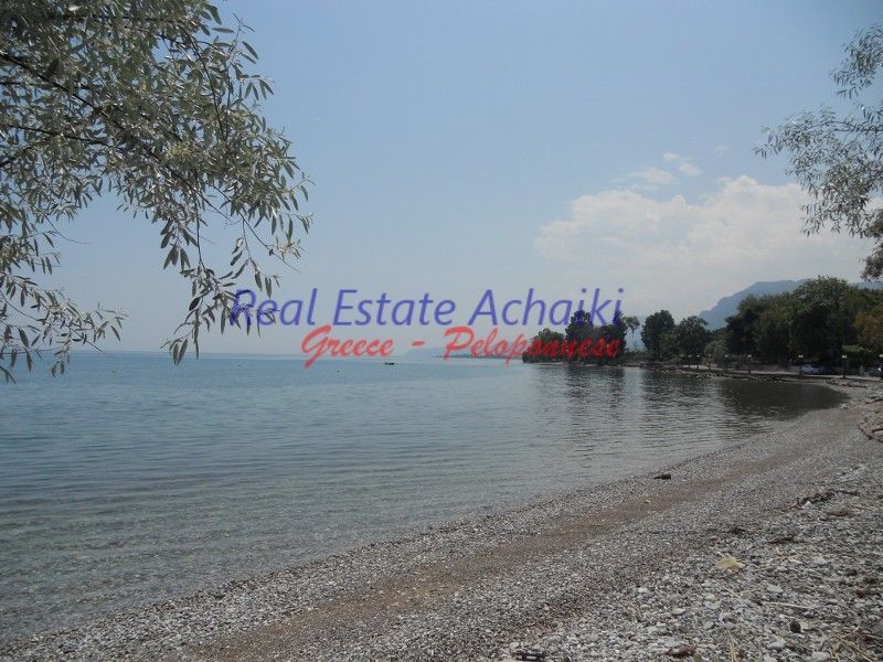 Photo 86607677