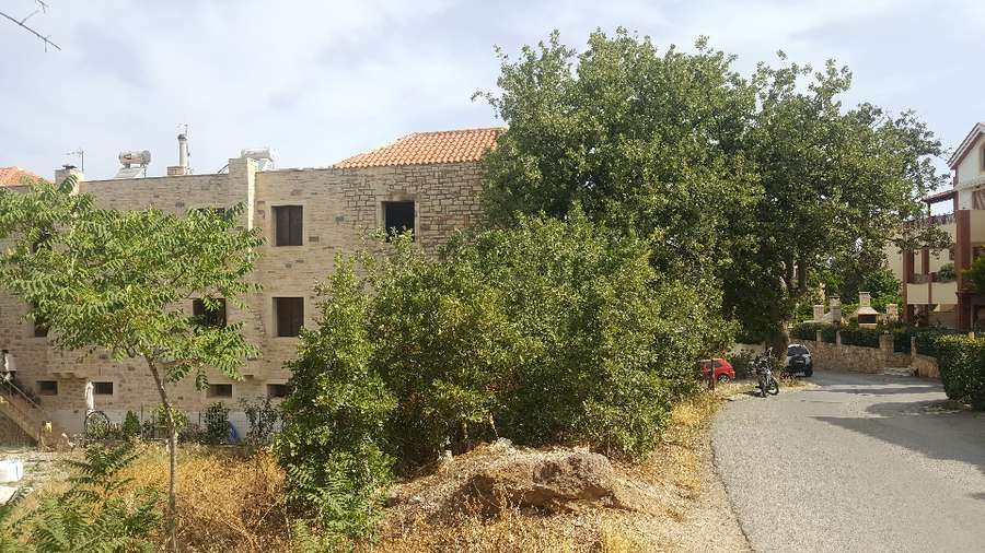 Photo 86676629