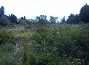 Plot Paxoi