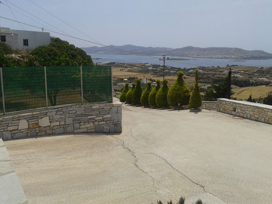 Photo 89631857