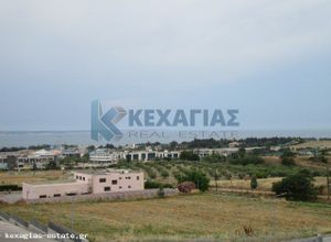 Γραφείο, Mediterranean Cosmos