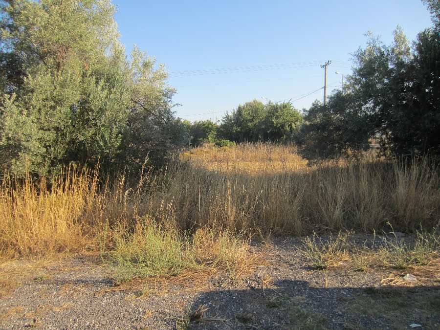 Photo 91024421