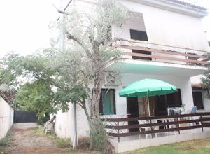 Διαμέρισμα προς πώληση Λόγγος (Αιγιάλεια) 51 τ.μ. 1 Υπνοδωμάτιο