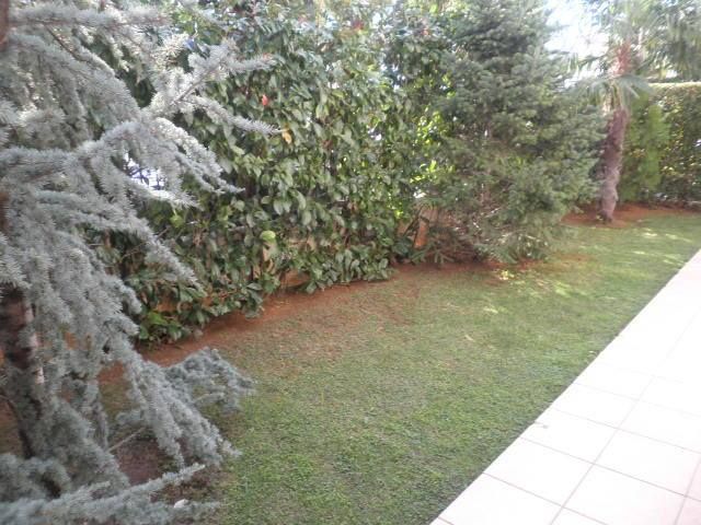 Photo 93982691
