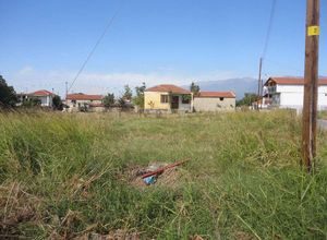 Μονοκατοικία προς πώληση Ηρακλειά 70 τ.μ. 2 Υπνοδωμάτια
