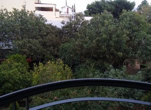 Photo 95841833