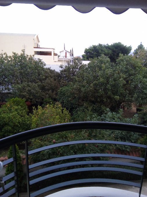 Photo 95841833