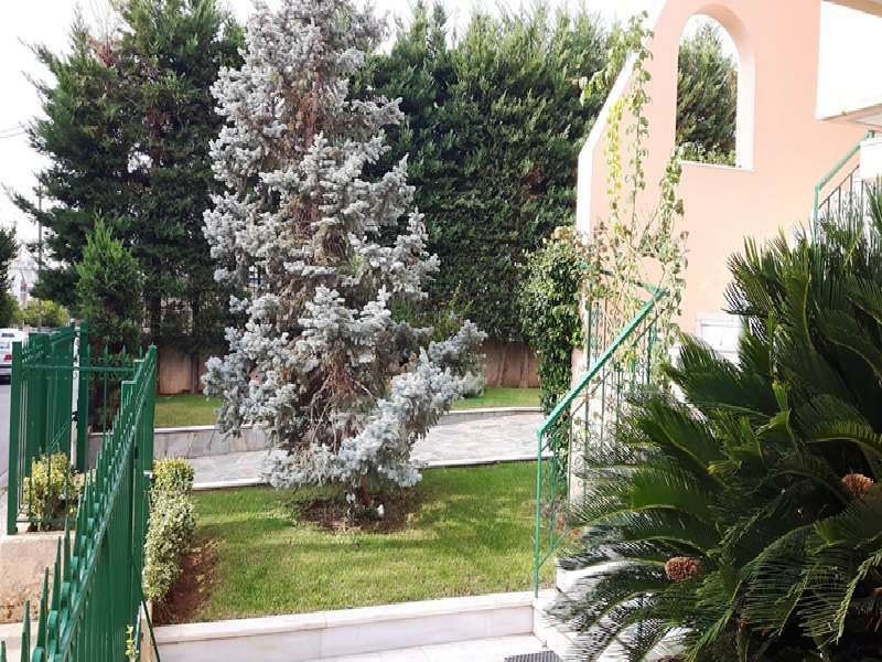 Photo 96505004