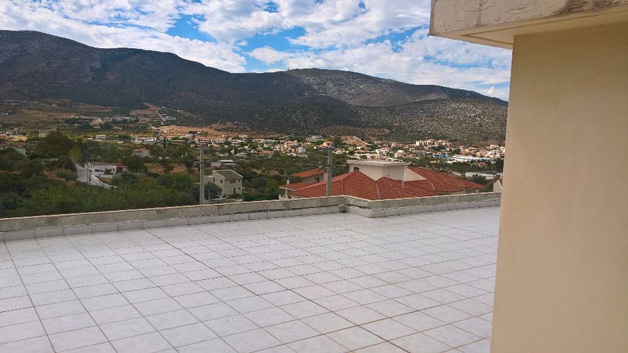 Photo 96793850