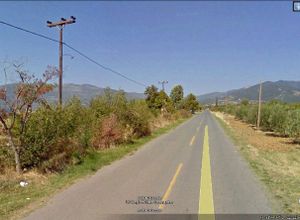 Αγροτεμάχιο προς πώληση Ελευθεροχώρι (Γιαννιτσά) 5.000 τ.μ.