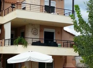 Μονοκατοικία προς πώληση Σαλονικιού (Σιθωνία) 142 τ.μ. 4 Υπνοδωμάτια