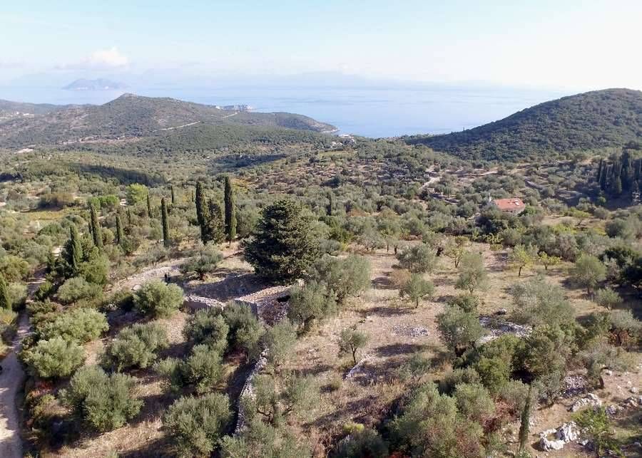 Fotografija 98643569