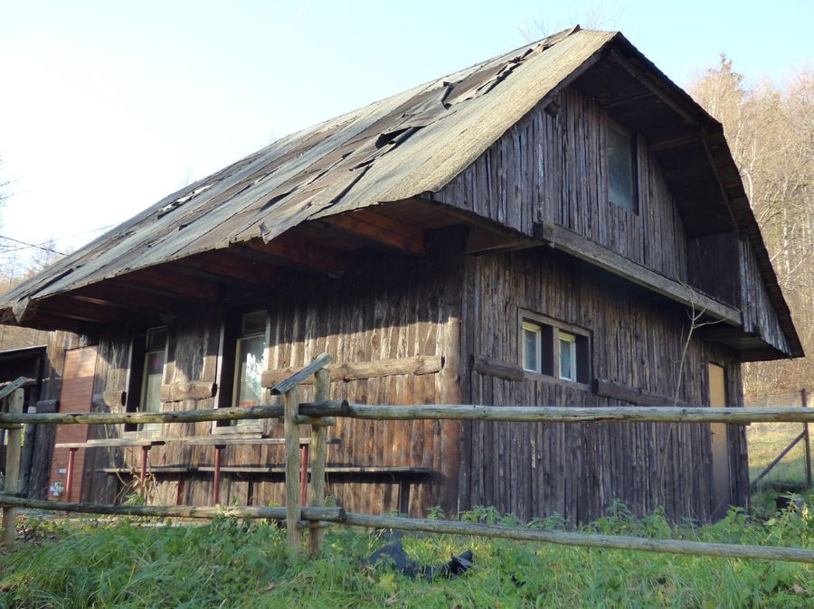 Fotografija 98643824