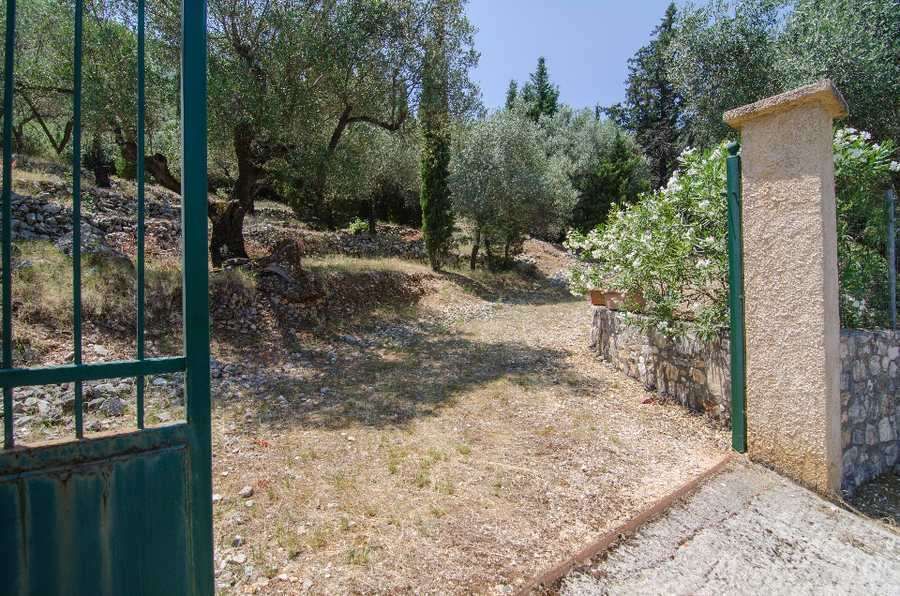 Fotografija 98645564