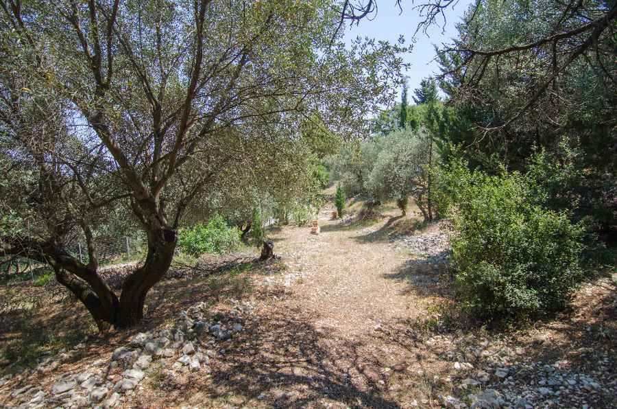 Photo 98647295