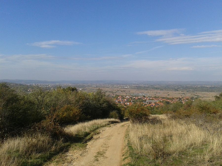 Photo 98648213