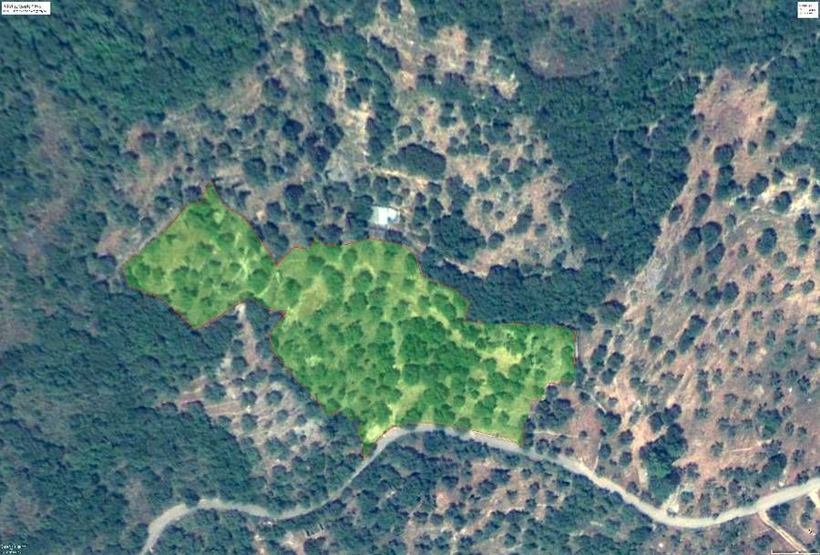 Photo 98650646