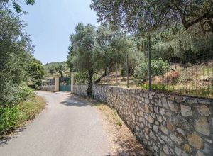 Fotografija 98651414