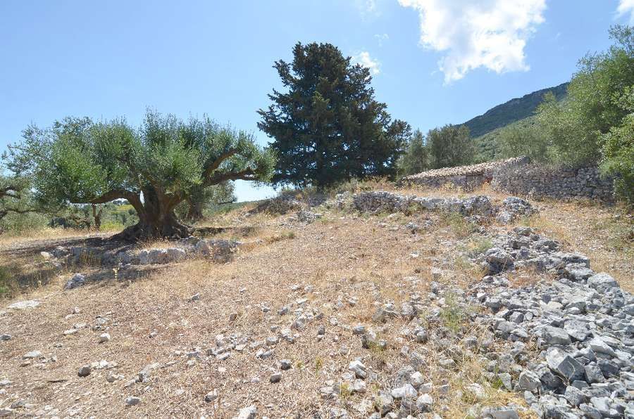 Photo 98681045