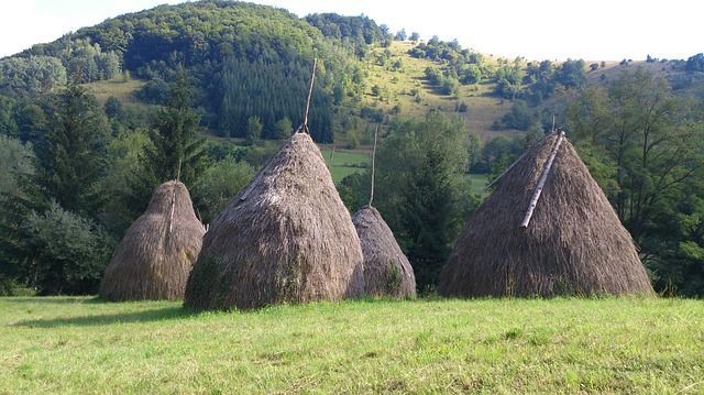 Fotografija 98697467