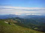 Photo 98705075
