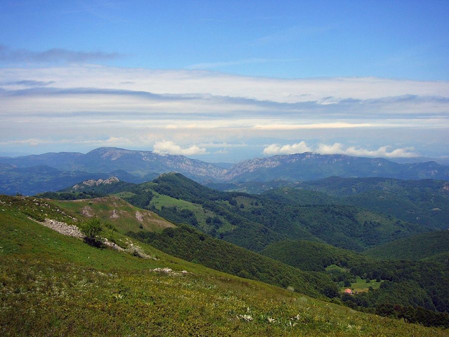 Photo 98705249