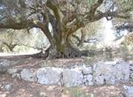 Photo 98708726