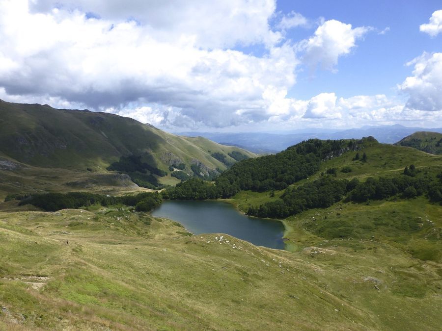 Fotografija 98708969