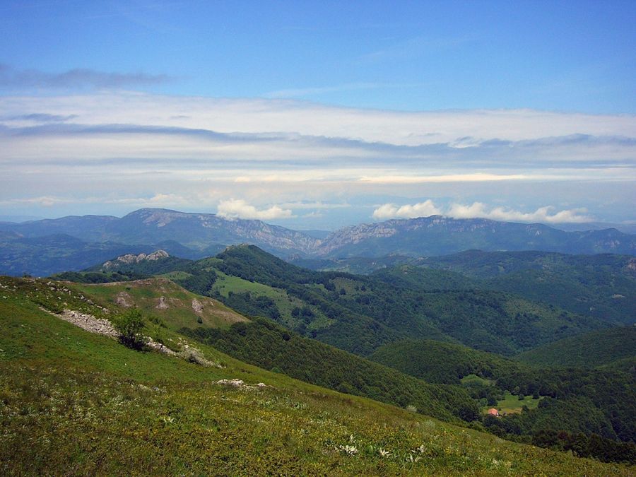 Fotografija 98720051