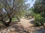 Photo 98725199