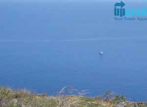 Οικόπεδο προς πώληση Άνω Μεριά (Φολέγανδρος) 8.709 τ.μ.